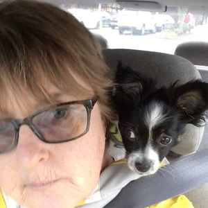 Meet your Posher, Joanne